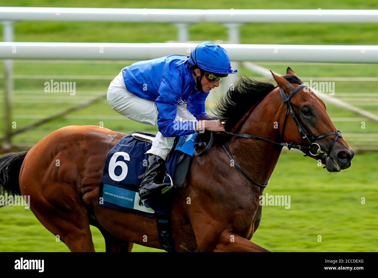 William Buick a bordo della Corona Navale sulla strada per vincere la British Stallion Stacchs EBF conviviale Maiden Stakes durante il terzo giorno dello Yorkshire Ebor Festival all'Ippodromo di York. Foto Stock