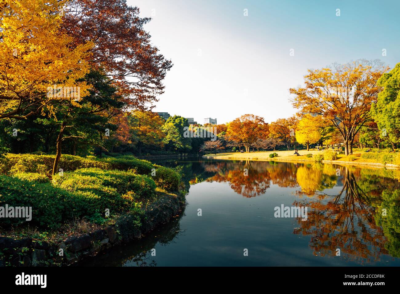 Scenario autunnale del Kitanomaru Garden Park a Tokyo, Giappone Foto Stock