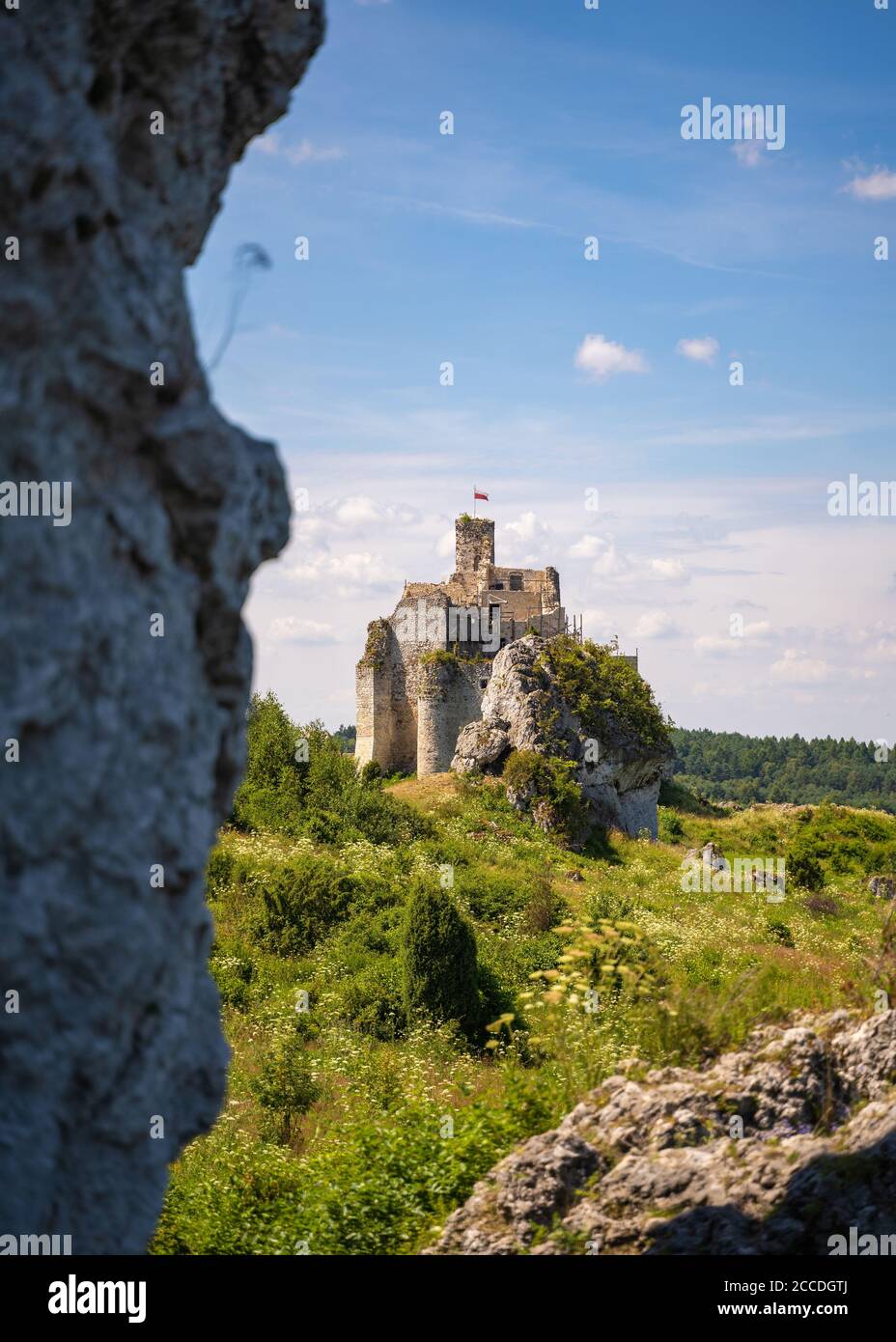 Rovine del 14 ° secolo del Castello di Mirow in Polonia. Un edificio medievale in pietra monumentale si trova su una collina, circondato da formazioni rocciose calcaree. Foto Stock