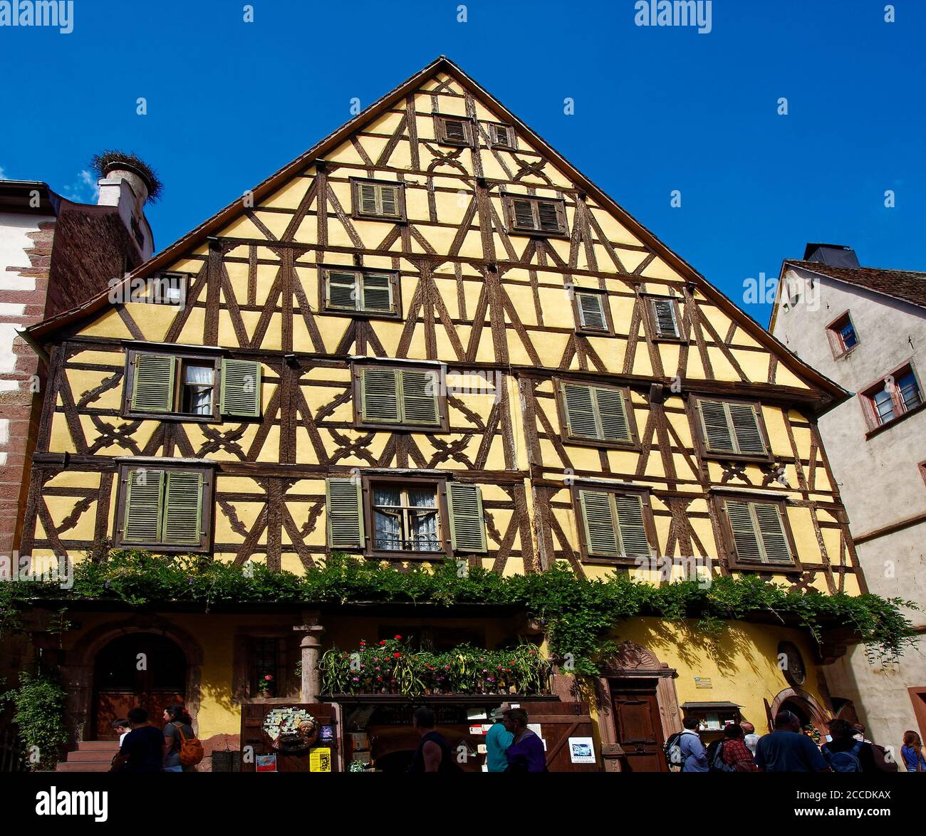 Edificio a graticcio, persiane, viti, negozio, nido di cicogna sul camino, Città Vecchia; scena stradale; 15-18 secoli; villaggio fortificato; Alsazia; Europa; Ri Foto Stock