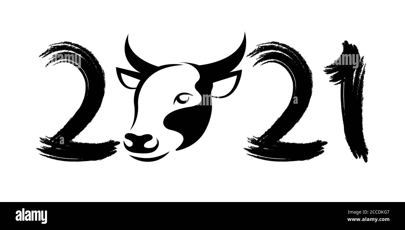 Felice anno nuovo cinese 2021. Segno zodiacale Black bull con numero in stile grunge isolato su sfondo bianco. Illustrazione vettoriale. EPS 10. Illustrazione Vettoriale