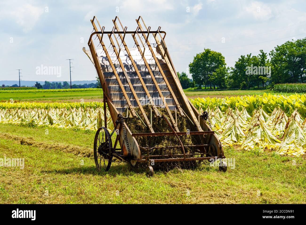 East Earl, PA, USA - 19 agosto 2020: Una macchina agricola utilizzata per raccogliere il tabacco rimane in un campo della contea di Lancaster alla fine dell'estate. Foto Stock