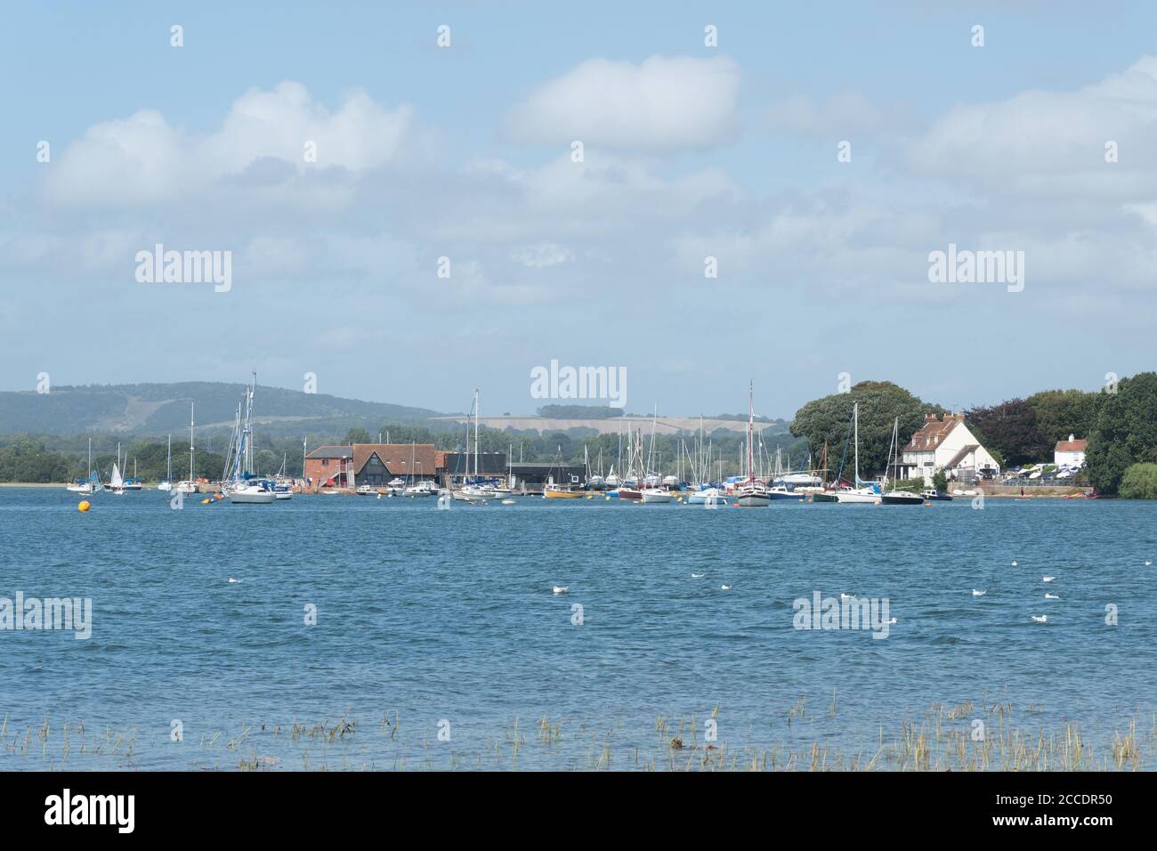 Vista della frazione di Dell Quay sul mare, Chichester Harbour, West Sussex, Regno Unito Foto Stock