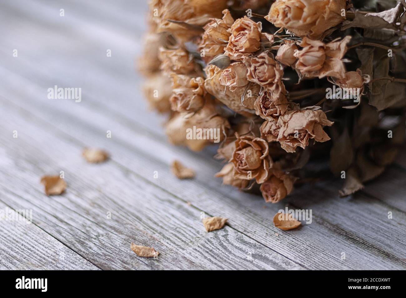 Mazzo di rose secche su tavola di legno, ricordi nostalgici del passato Foto Stock
