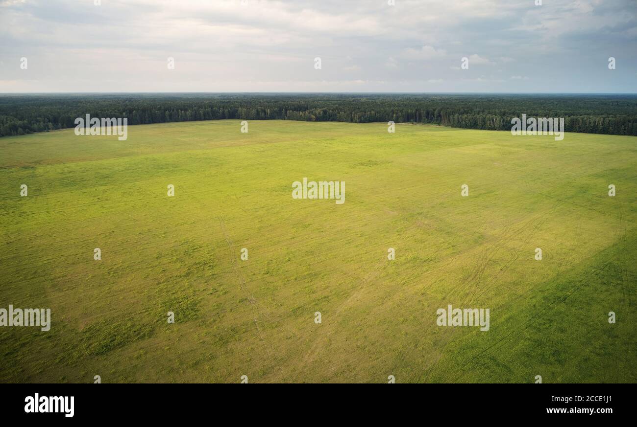 Verde erba paesaggio pascolo con sfondo foresta vista aerea Foto Stock