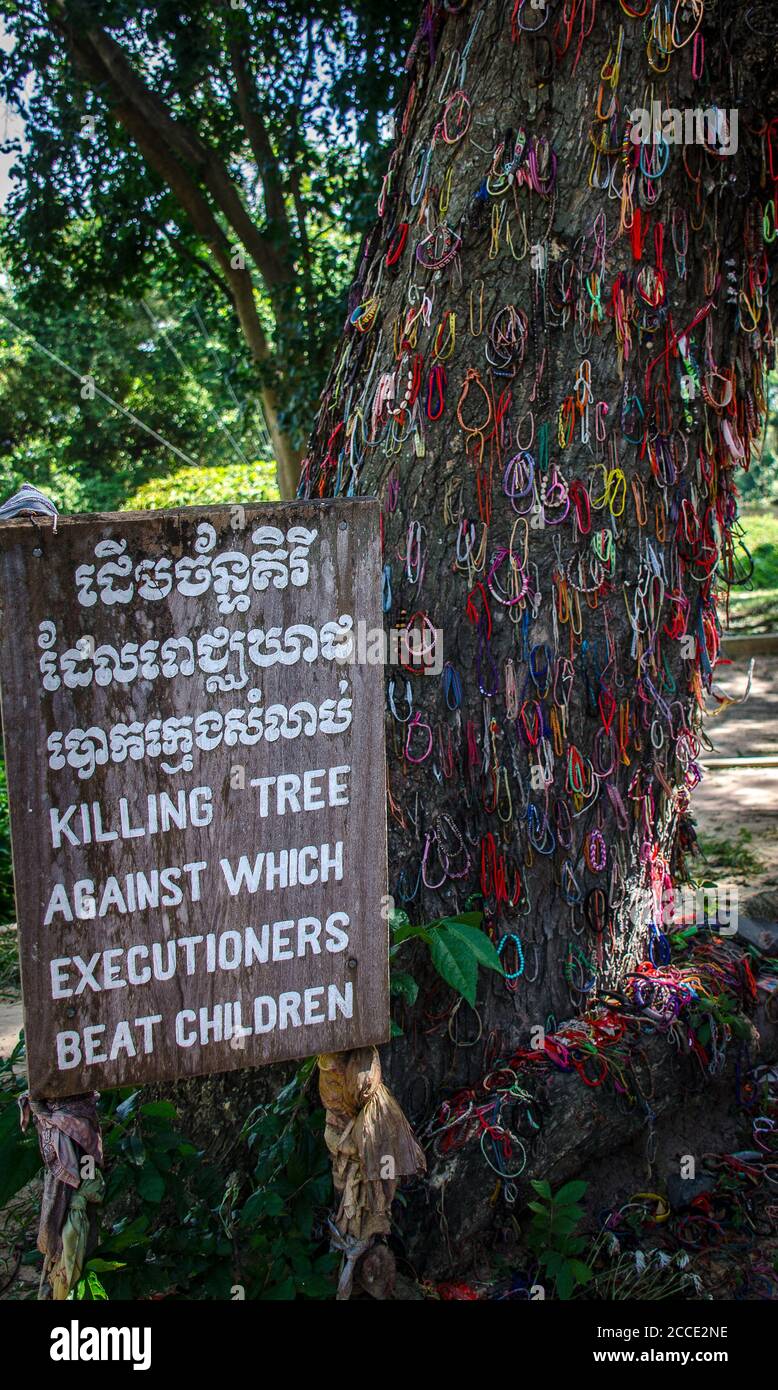 L'albero di uccisione dove i bambini sono stati assassinati Foto Stock