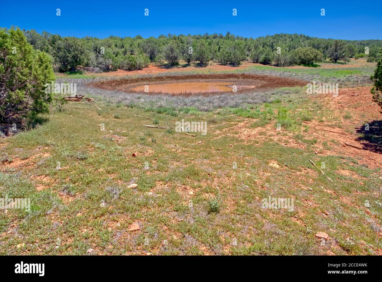 Vista del laghetto di bestiame Cotton Tank dalla cima della diga di cotone sul Big Black Mesa vicino a Ash Fork Arizona. Foto Stock