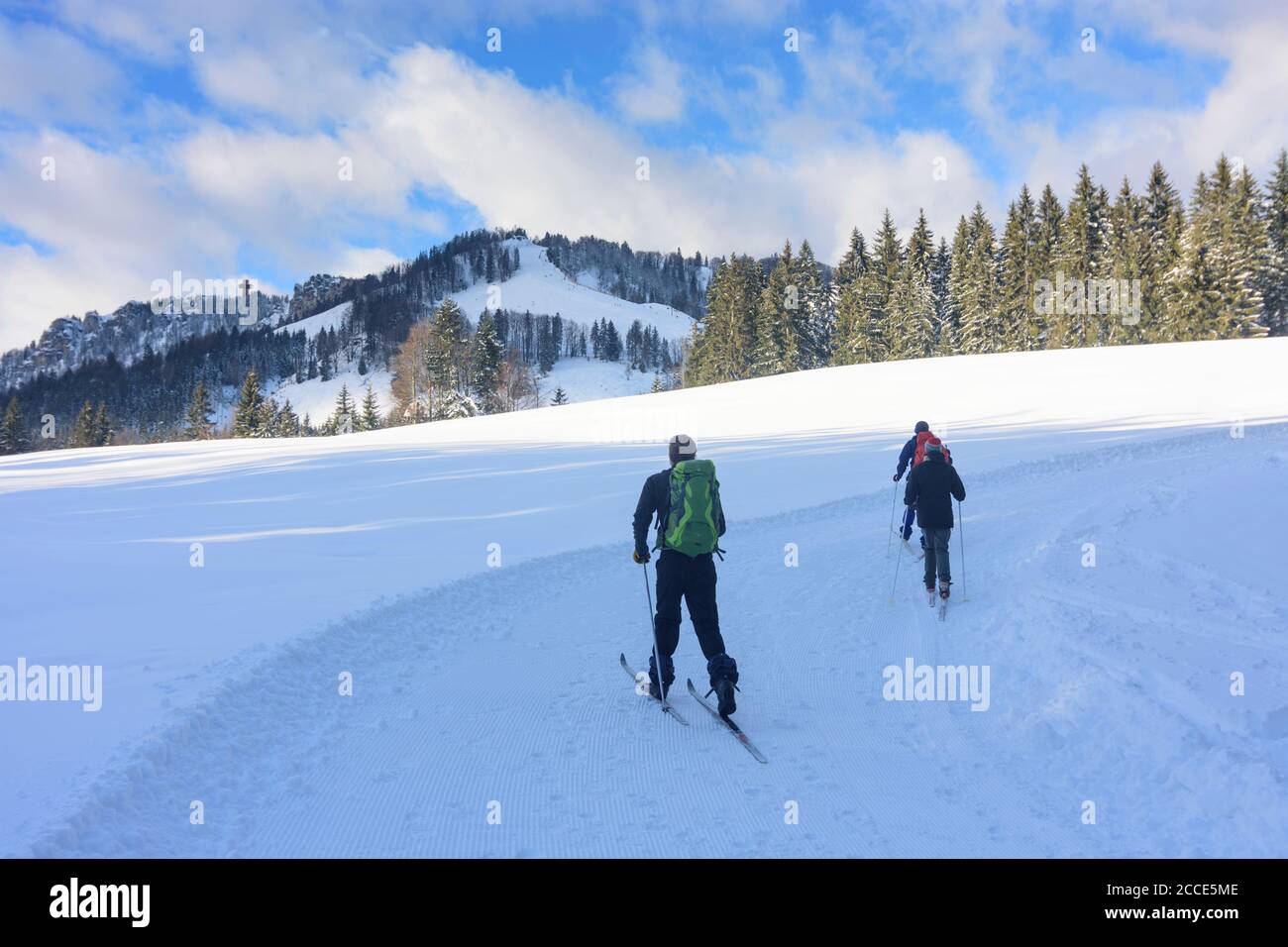 Hochfilzen, persone, sci di fondo, vista sulla montagna Buchensteinwand, cima attraversare Jakobskreuz nelle Alpi di Kitzbühel, Pillersee tal (Pillersee v Foto Stock