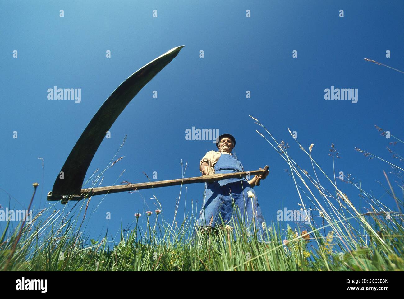 Italia, Alto Adige-Trentino, Alto Adige, Alpe di Siusi, Dolomiti, falciatura fieno, agricoltori montani altoatesini, agricoltura, latte, biologico, sostenibile Foto Stock