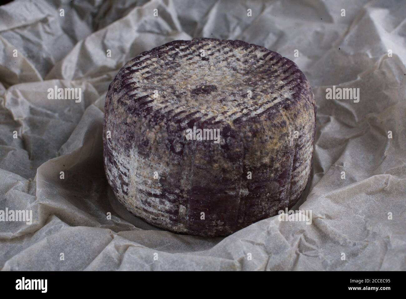 Primo piano di formaggio francese morbido con crosta viola carta Foto Stock