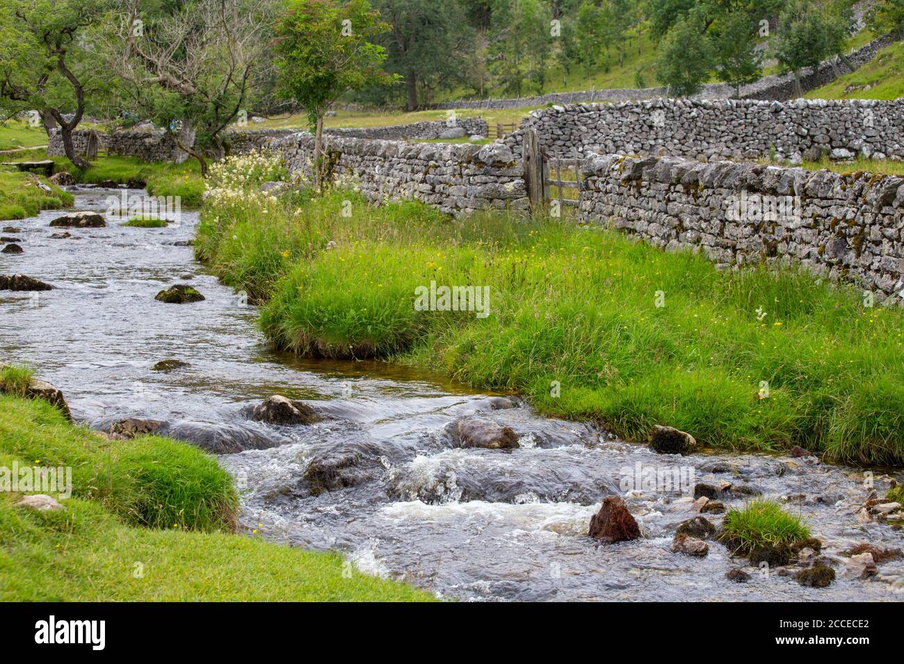 Malham Cove Rock Formation, Yorkshire Dales National Park, Yorkshire, Inghilterra Foto Stock