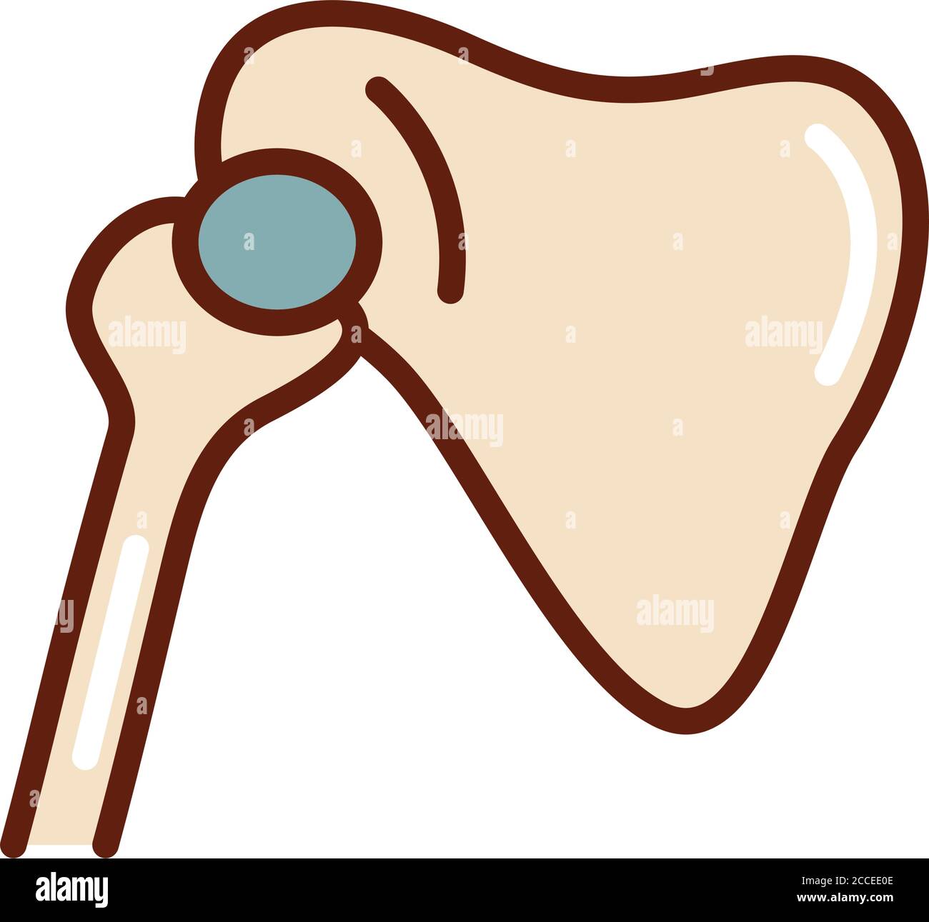 corpo umano arto braccio osseo scapola anatomia organo linea di salute e l'icona di riempimento Illustrazione Vettoriale