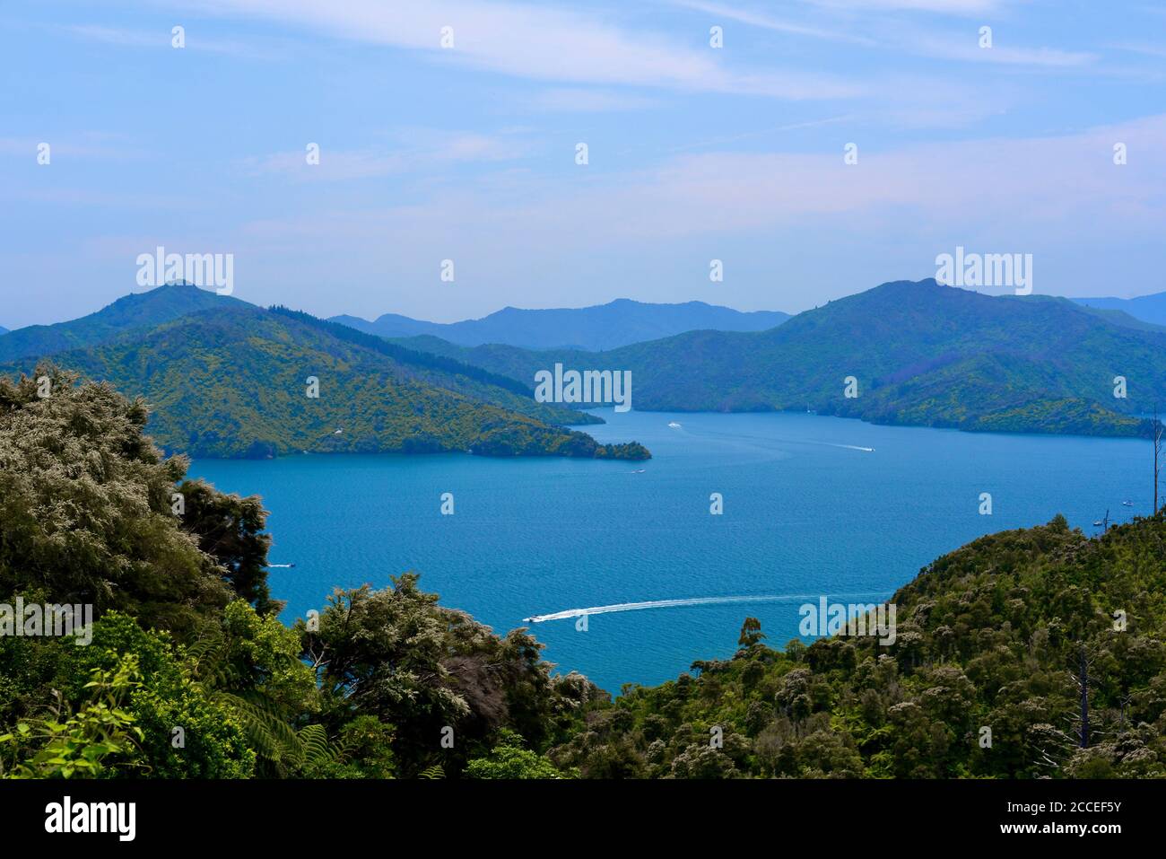 Vista panoramica dei suoni di Marlborough dalla Queen Charlotte Drive vicino a Picton, Nuova Zelanda Foto Stock