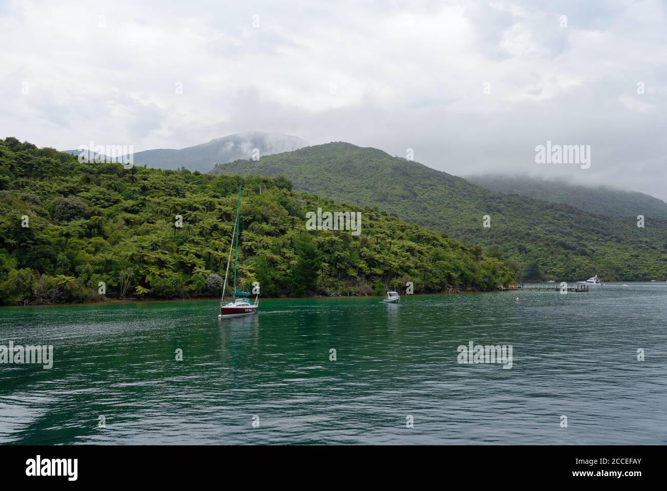 Una giornata di nebbia nel Marlborough Sounds, Isola del Sud, Nuova Zelanda Foto Stock