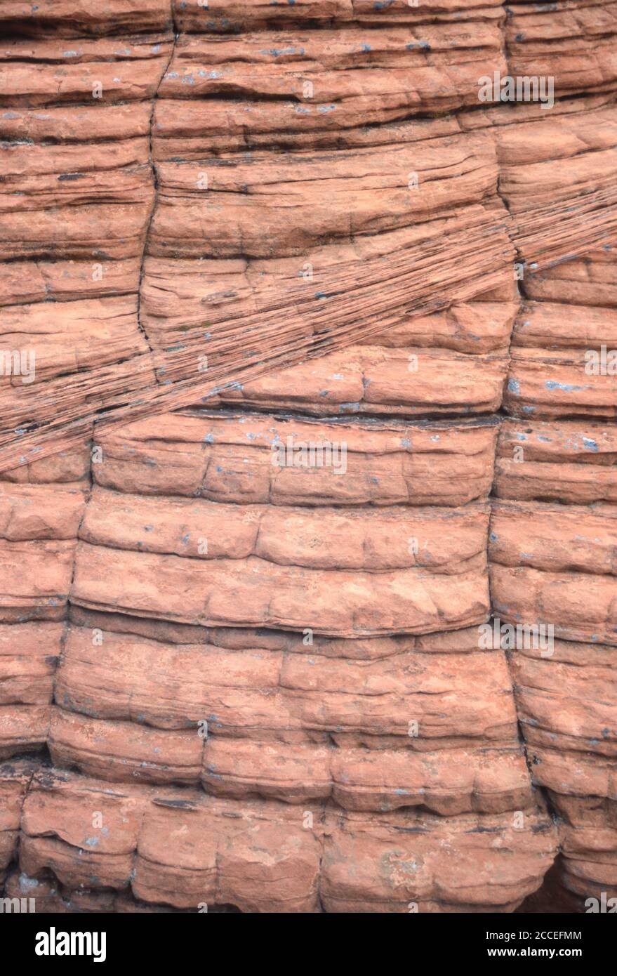 Geologia. Striature rocciose e bande. Formazione di alveare, Valle di fuoco, Nevada, Stati Uniti. Foto Stock