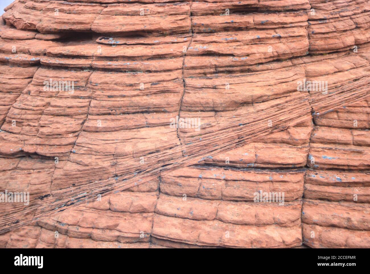 Geologia. Striature rocciose e bande. Formazione di alveare, Valle di fuoco, Nevada, Stati Uniti. Foto Stock