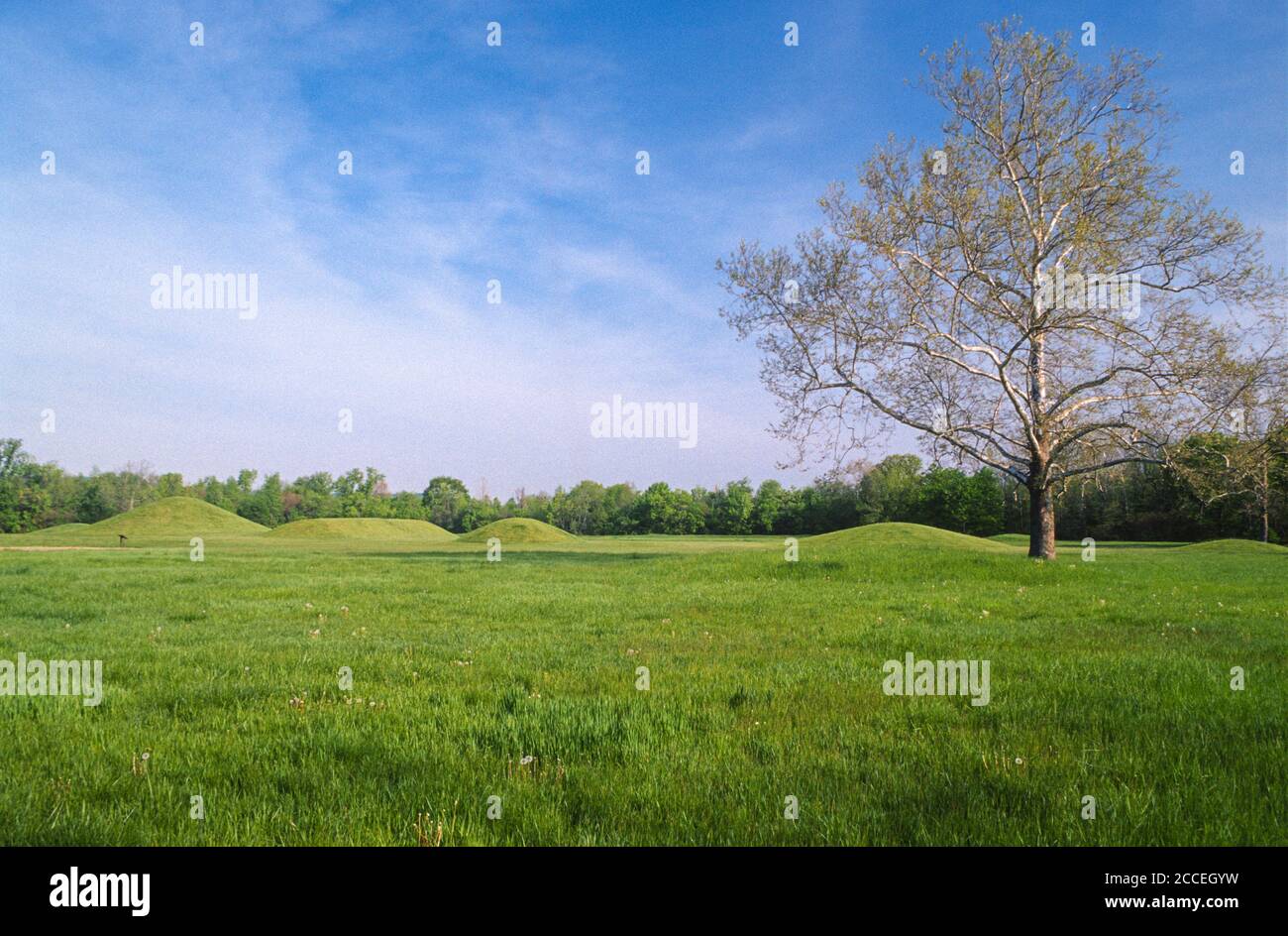 Burial Mounds, Hopewell Culture National Historical Park, Chillicothe, Ohio, USA Foto Stock