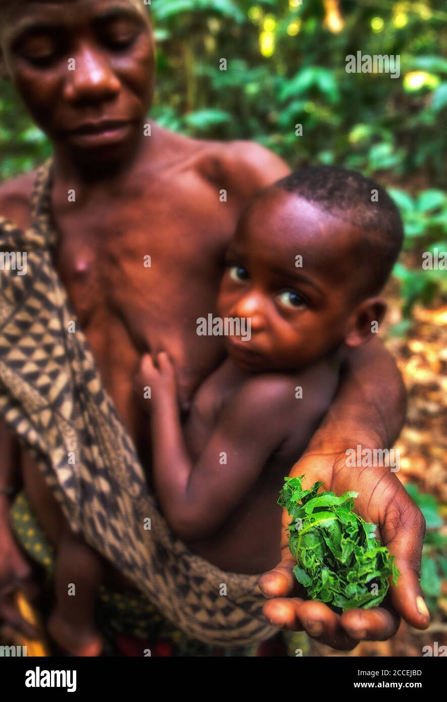 Tribù dei Pigmy nella riserva forestale di Dzanga-Sanha, Repubblica Centrafricana Foto Stock