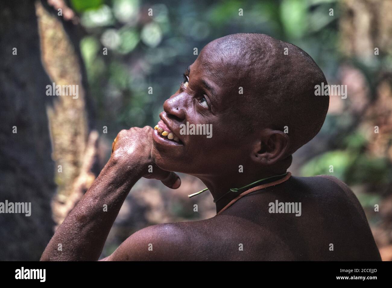Tribù dei Pigmy nella riserva forestale di Dzanga-Sanha, Repubblica Centrafricana Foto Stock