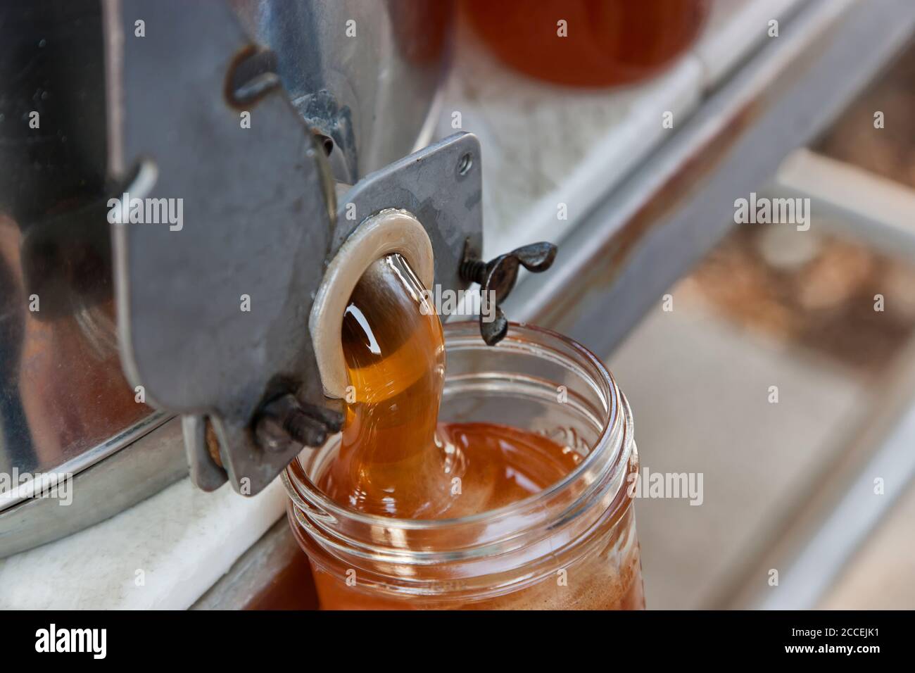 Vaso in vetro con pinta ripieno di miele, raccolto da Peach Blossoms, Maryhill, Columbia River Gorge, Washington. Foto Stock
