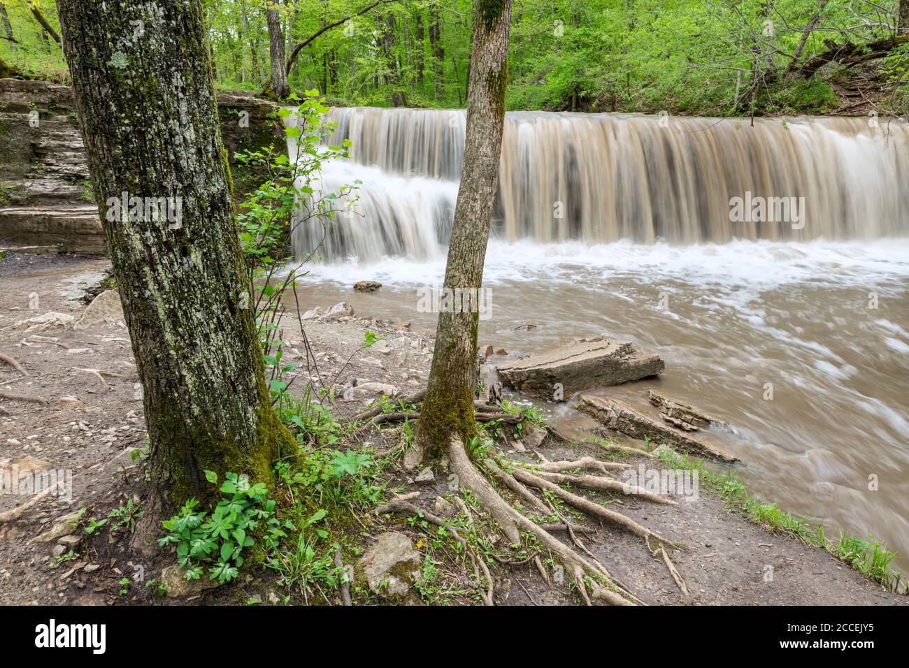 Prairie Creek Falls, dopo forti piogge. Nertstrand state Park, MN, USA, di Dominique Braud/Dembinsky Photo Assoc Foto Stock