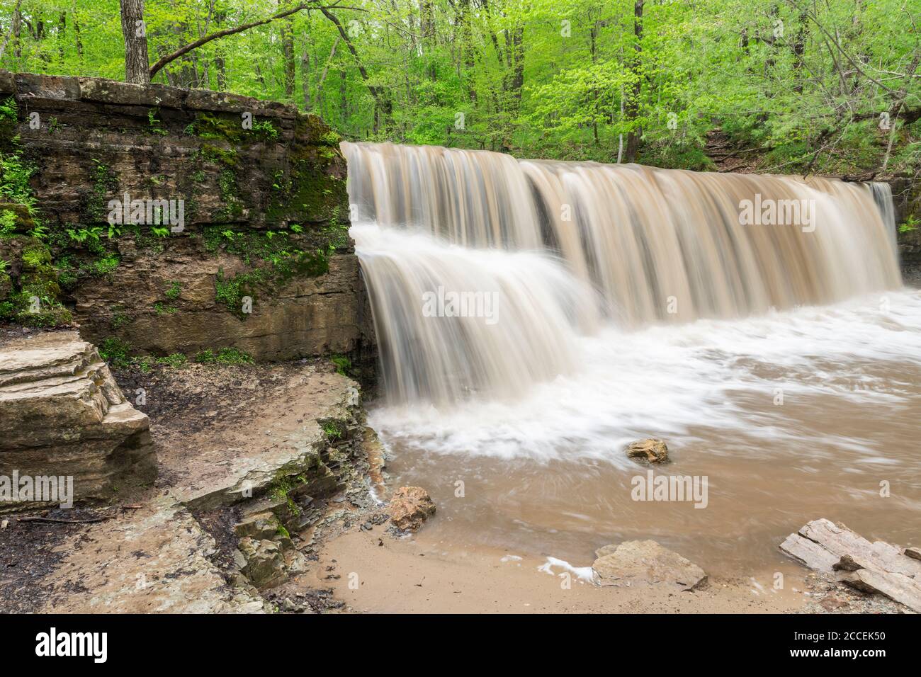 Prairie Creek Falls, dopo forti piogge. Nertstrand state Park, MN, USA, di Dominique Braud/Dembinsky Photo Assoc Foto Stock
