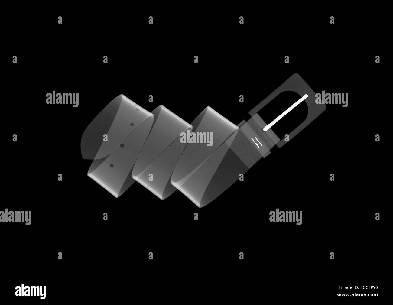 Cinghia, raggi X. Foto Stock