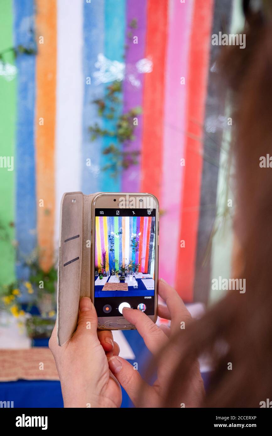 Donna di mezza età fotografa una disposizione di fiori e erbe su una parete colorata a righe con uno smartphone Foto Stock