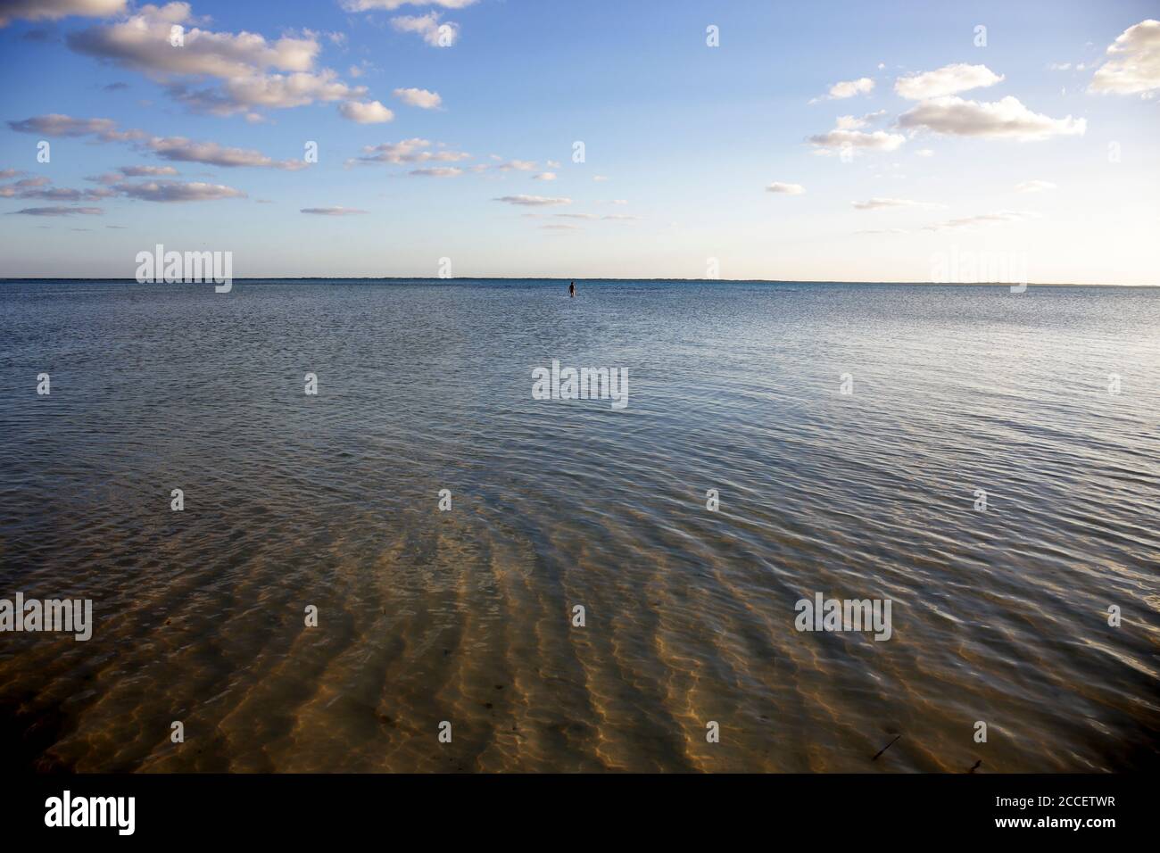 Turista in acque poco profonde su una spiaggia idilliaca in Holbox. Holbox Island, Cancun, Yucatan, Messico Foto Stock