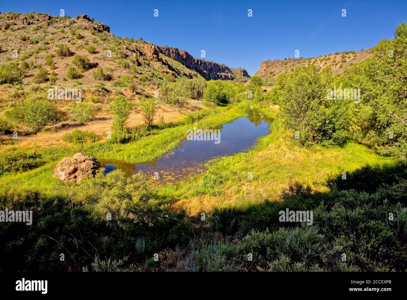 La sorgente del lago Stillman nel Verde River Canyon a Paulden, Arizona. Questa piccola sorgente è la sorgente del fiume Verde. Foto Stock