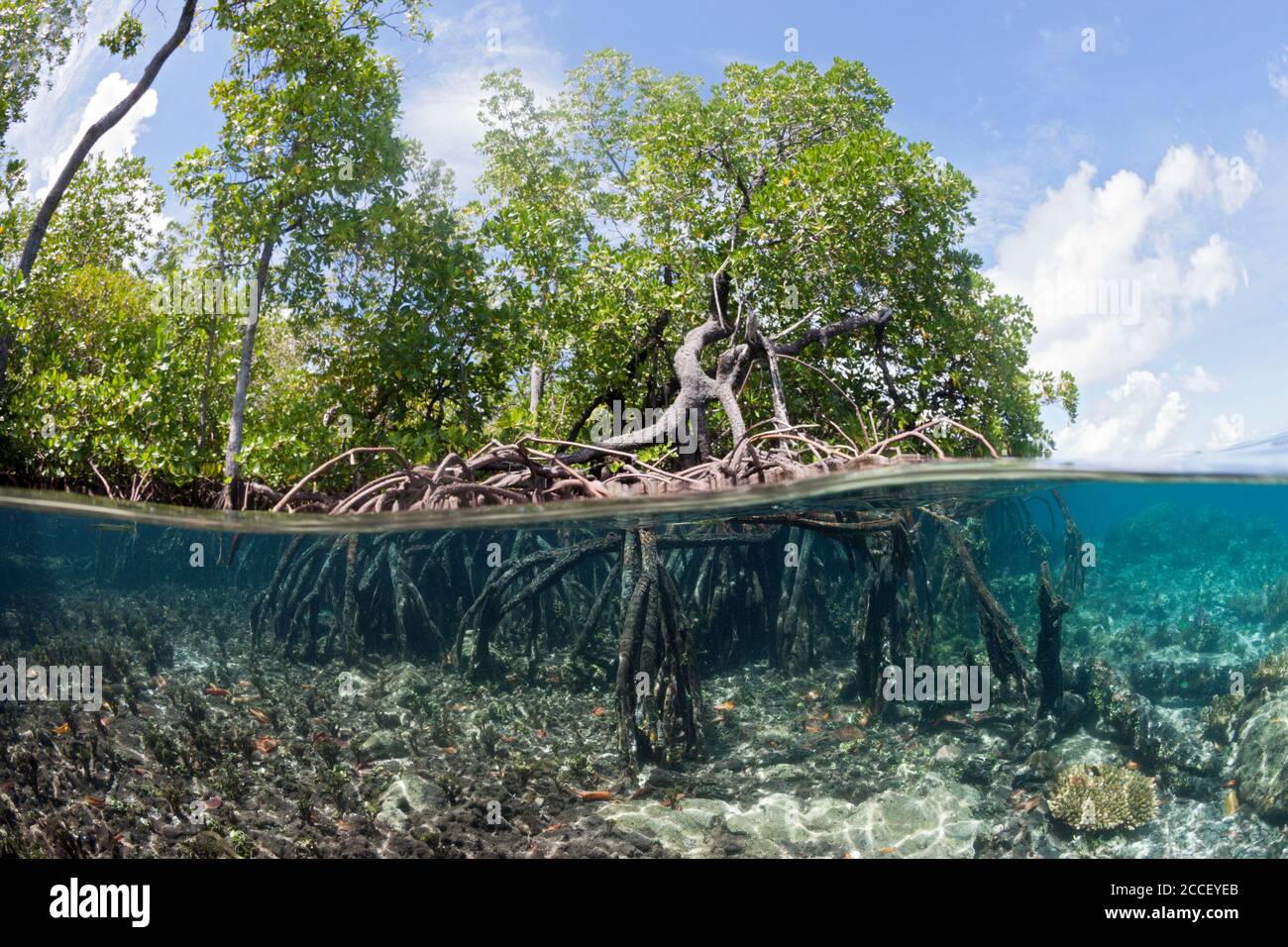 Veduta aerea delle isole di Balgai Bay, Nuova Irlanda, Papua Nuova Guinea Foto Stock