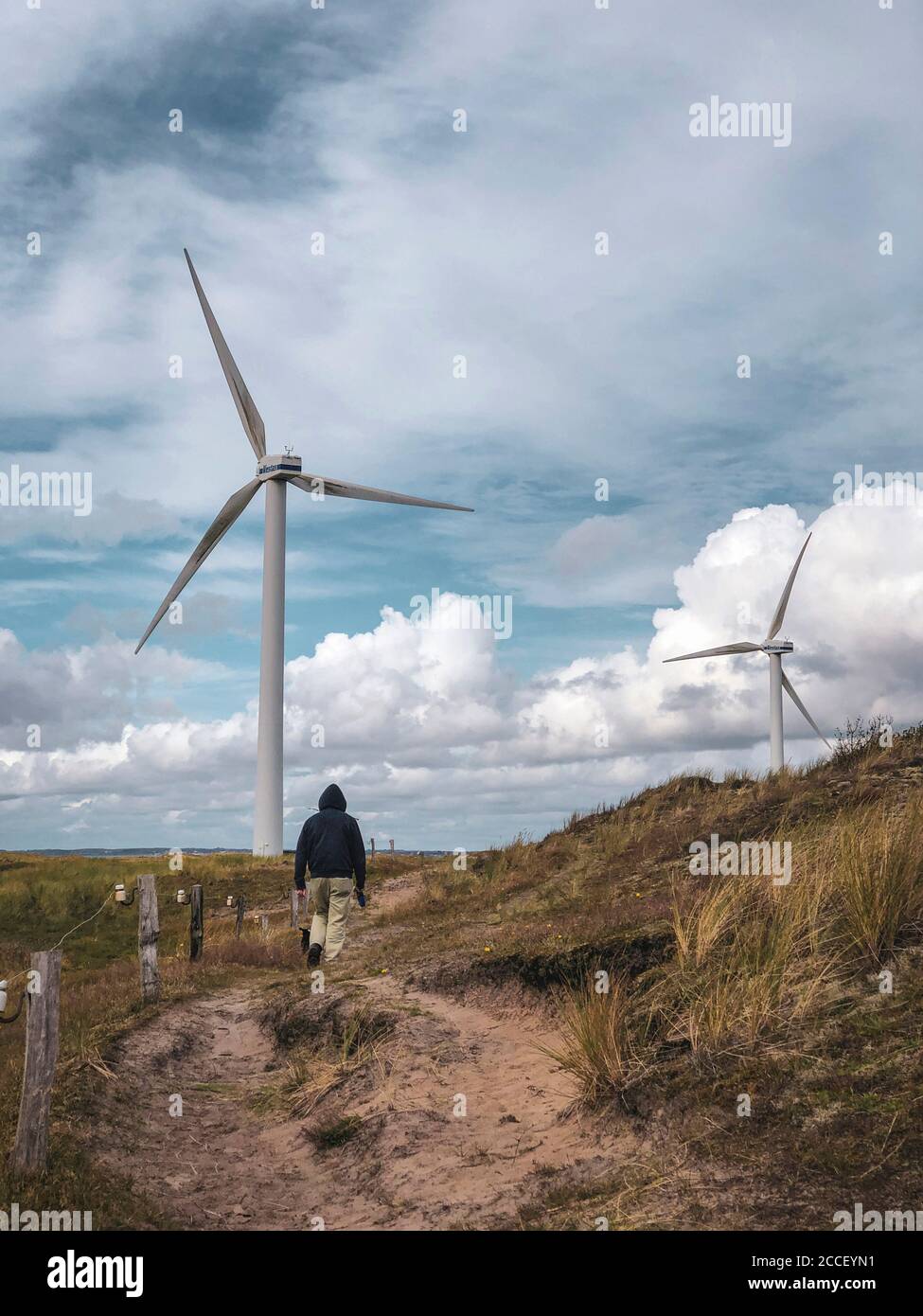 Decelerazione, passeggiata sul Mare del Nord, turbine eoliche, Danimarca Foto Stock