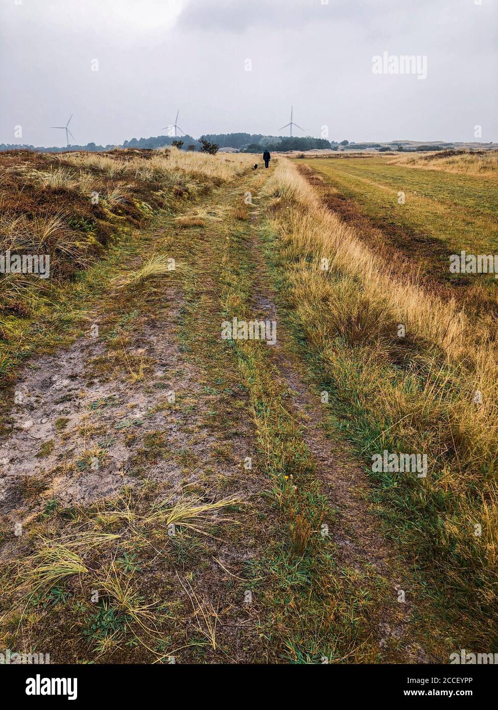 Decelerazione, passeggiata sul Mare del Nord, turbine eoliche, Danimarca Foto Stock