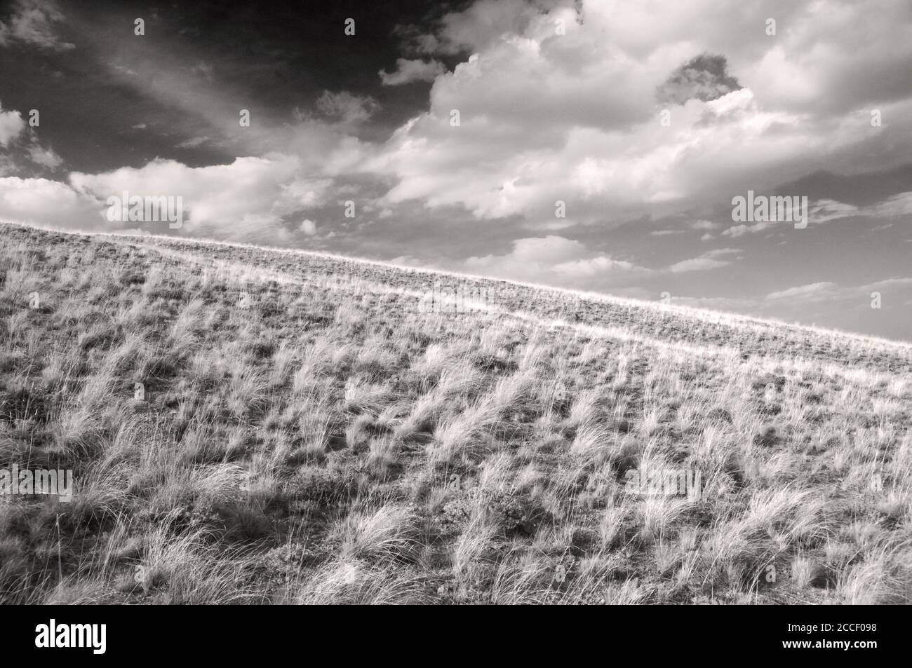 Guardando verso l'alto le pendici erbose del Monte Nemrut, vicino alla città di Tatvan, nella regione orientale dell'Anatolia, nella Turchia sudorientale. Foto Stock