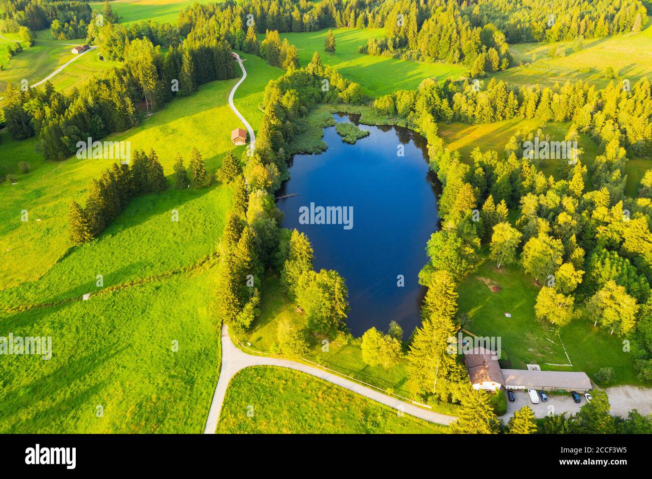 Schönauer Weiher vicino a Bad Heilbrunn, Tölzer Terra, vista aerea, alta Baviera, Baviera, Germania Foto Stock