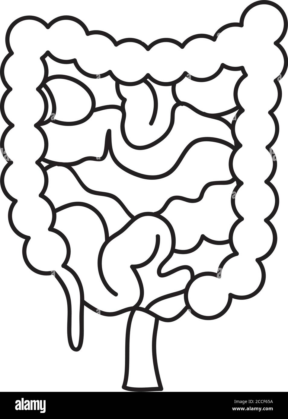 corpo umano, intestino grande e piccolo su sfondo bianco, stile linea, illustrazione vettoriale Illustrazione Vettoriale