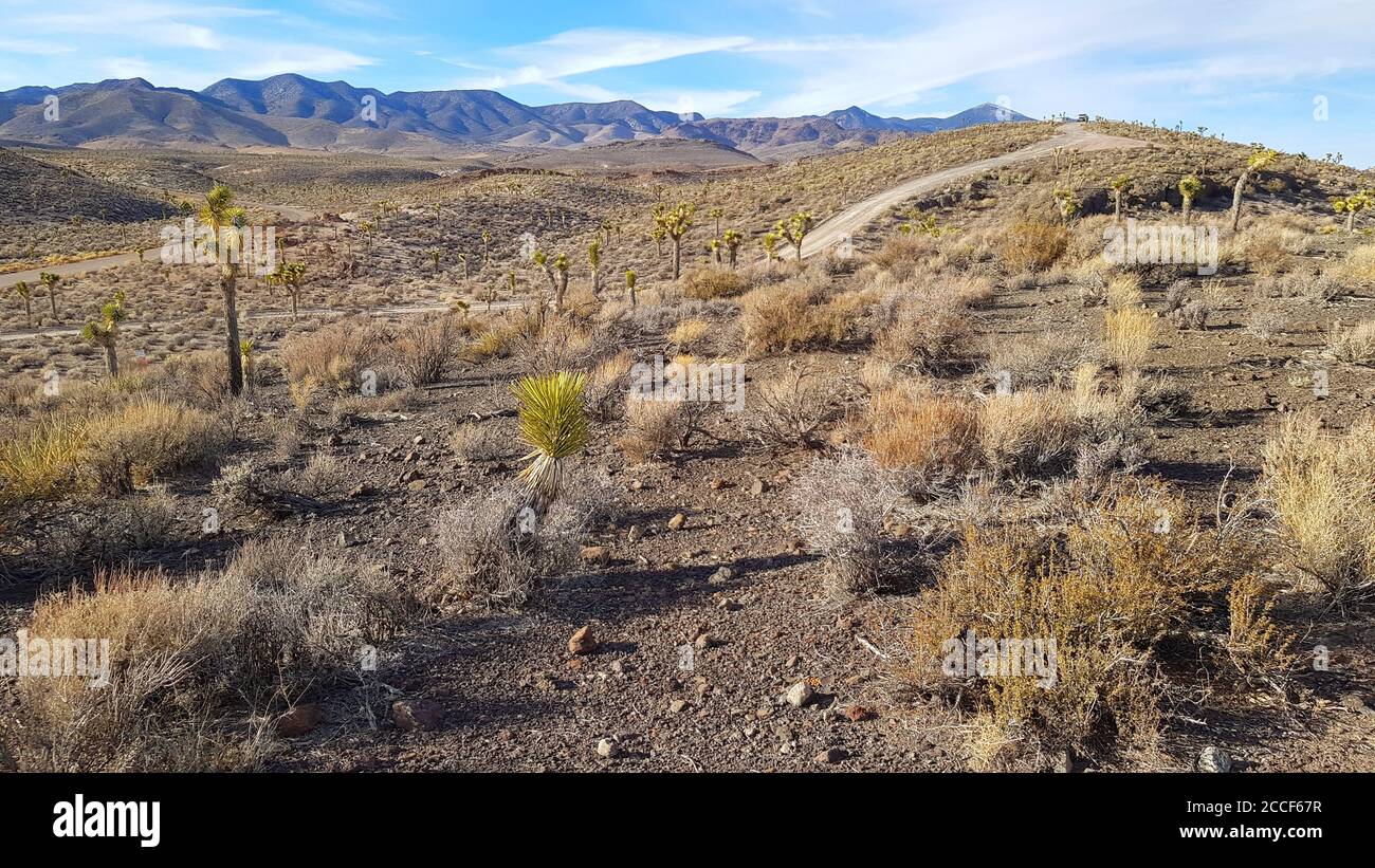 All'esterno dell'Area 51, confina con un veicolo di sicurezza dell'Area 51 seduto in collina. Nevada Stati Uniti Foto Stock