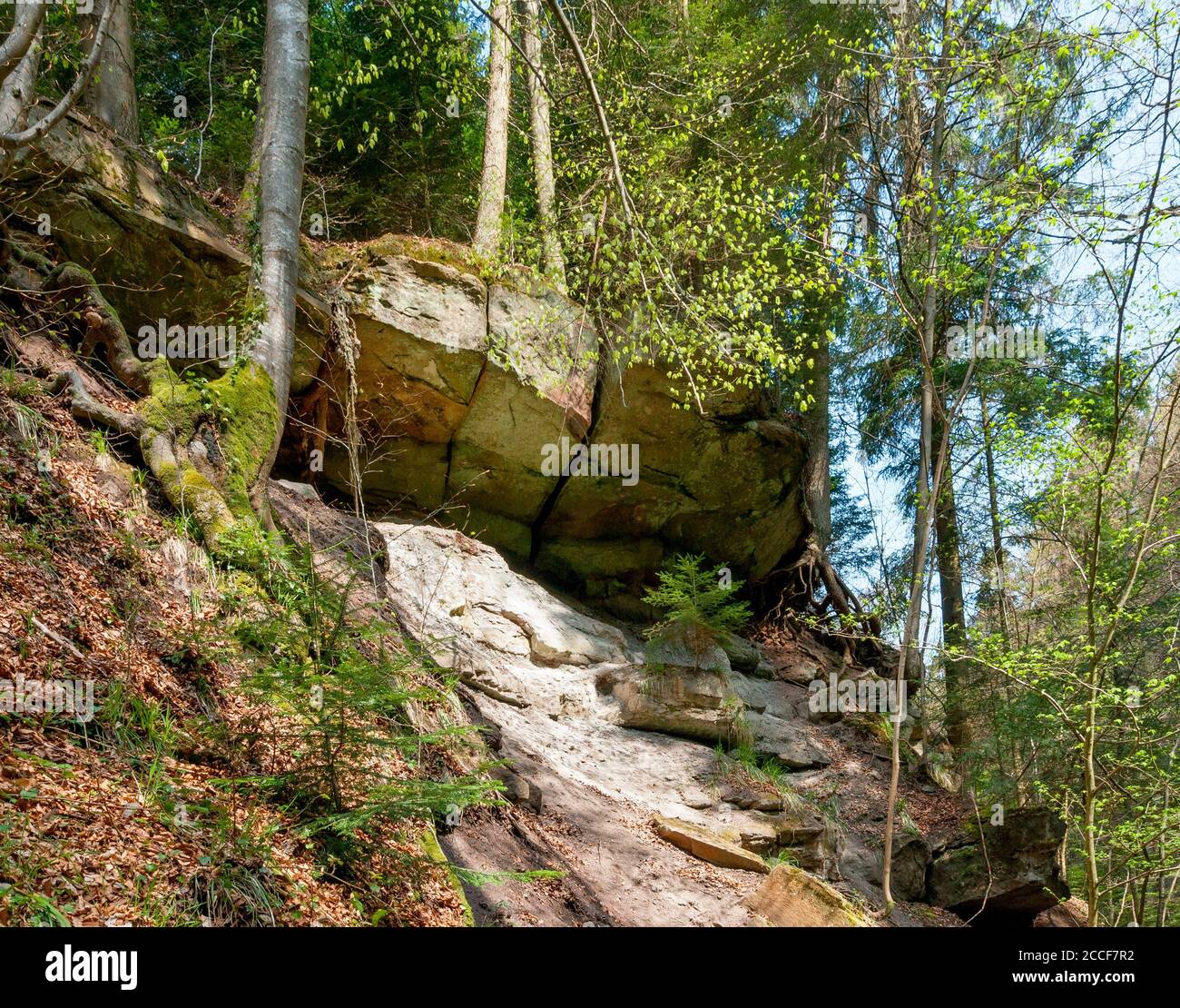 Germania, Baden-Württemberg, Murrhardt, roccia sovrasta alla cascata superiore nella gola di Hörschbach nel Parco Naturale della Foresta Svevo-Franconia. Foto Stock
