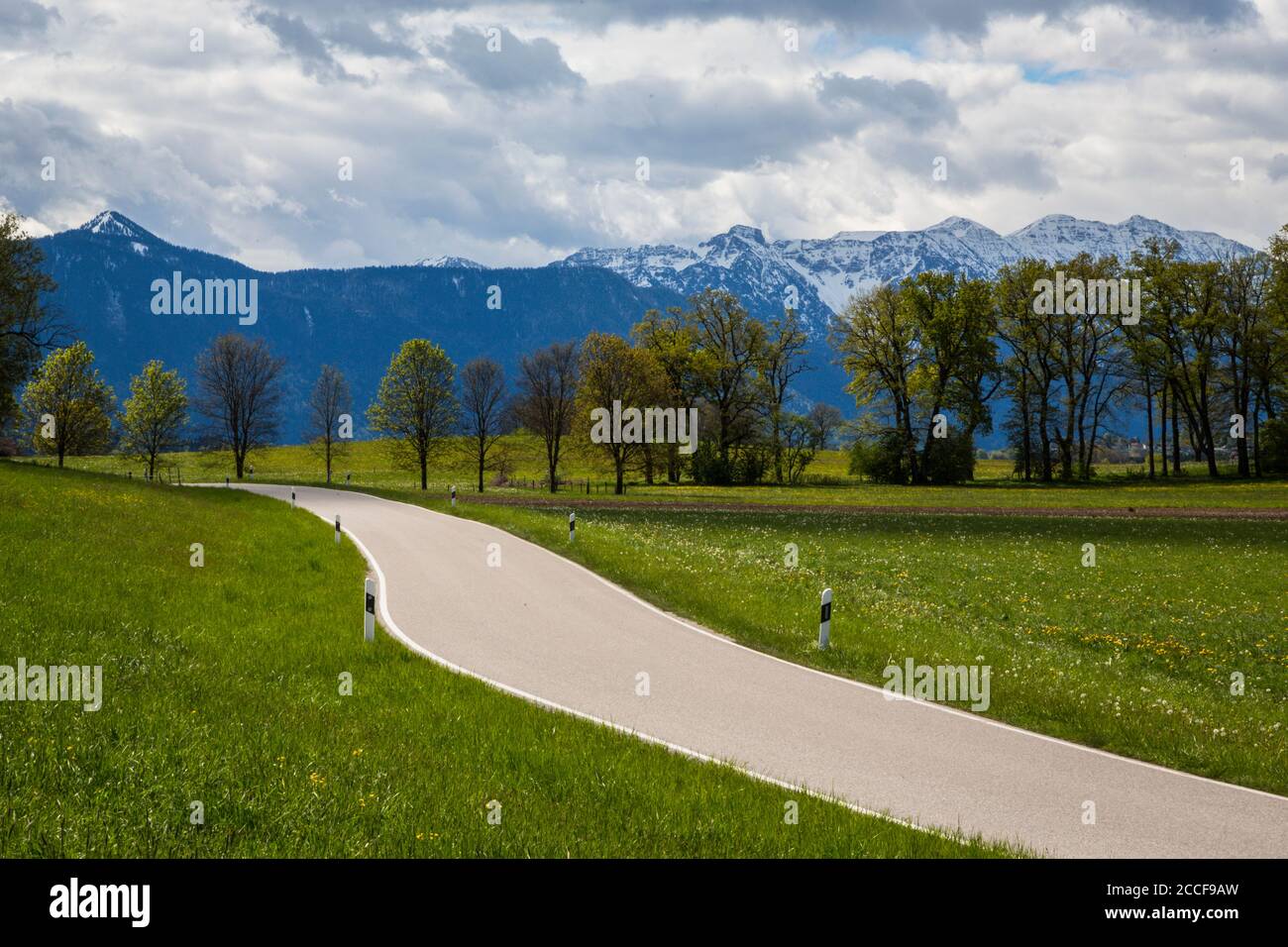 Germania, Baviera, strada di campagna ai piedi delle Alpi Foto Stock
