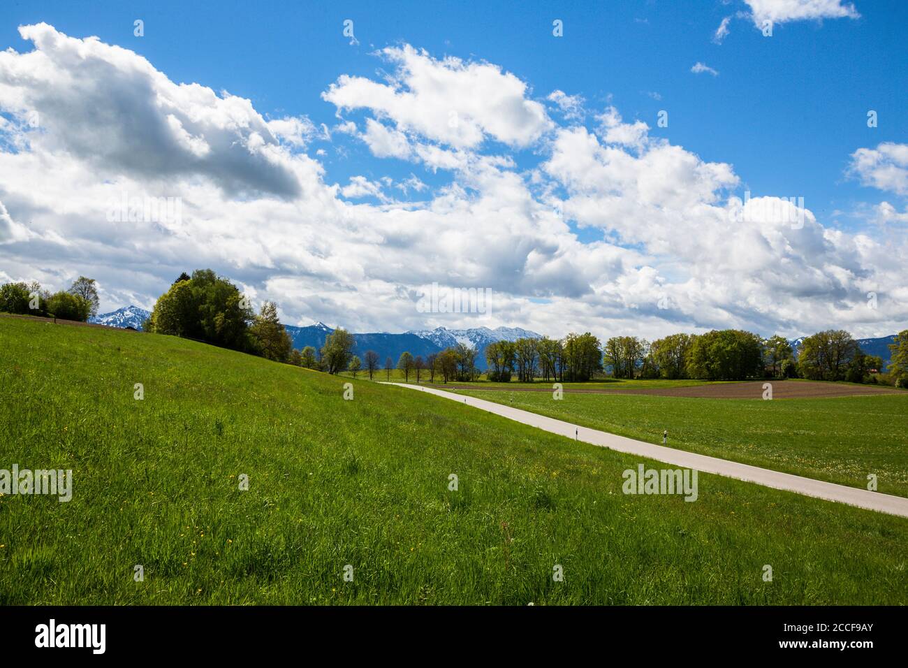 Germania, Baviera, strada di campagna ai piedi delle Alpi Foto Stock