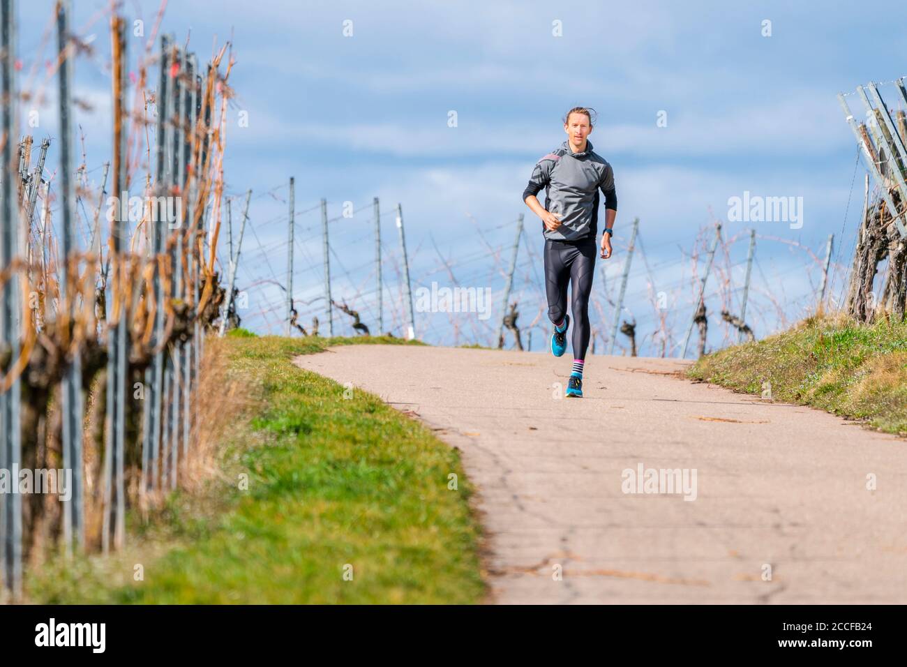 Uomo, 30 anni, jogging a Kappelberg, Remstal, Baden-Württemberg, Germania Foto Stock