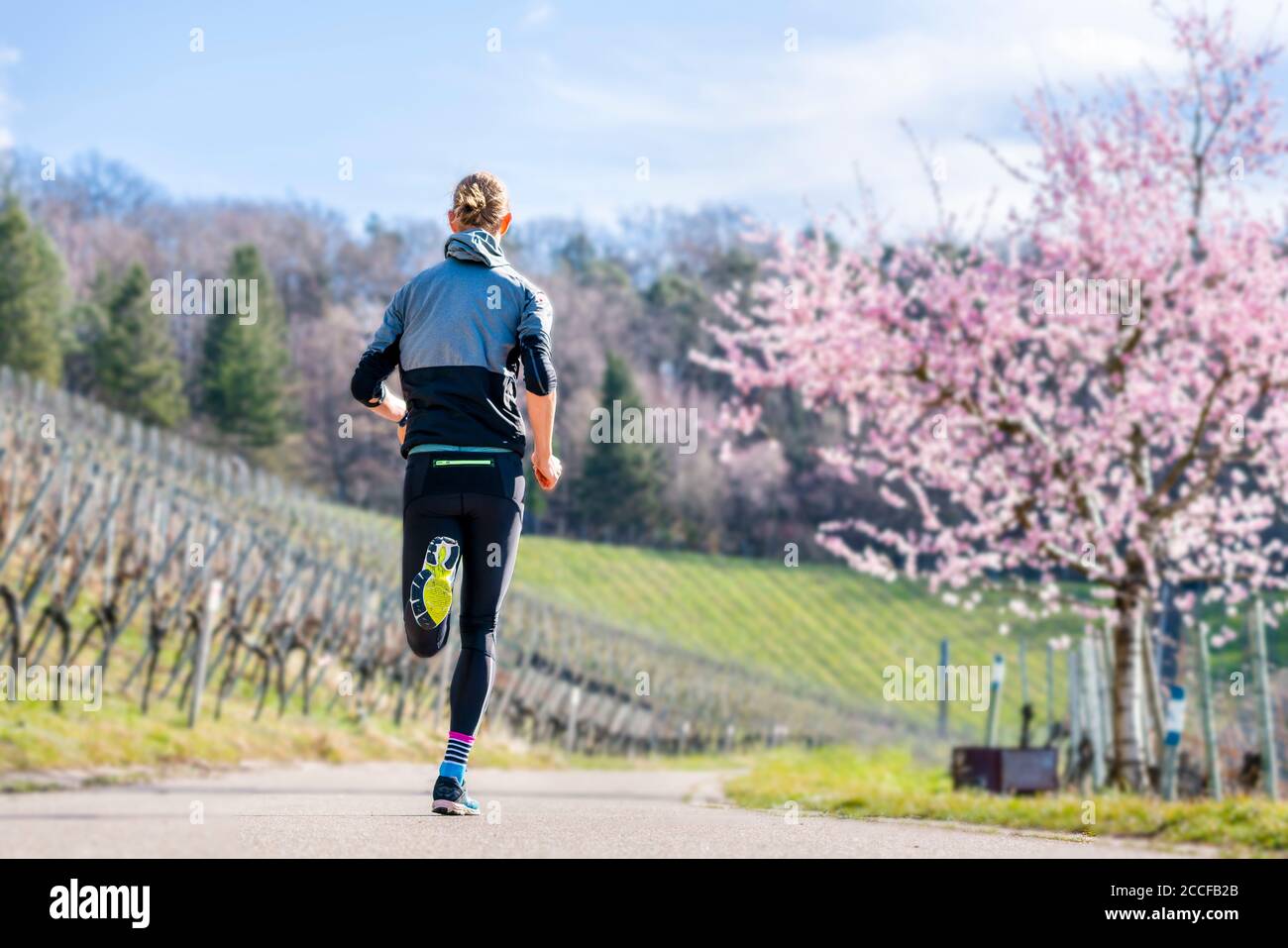 Uomo, 30 anni, jogging a Kappelberg, Remstal, Baden-Württemberg, Germania Foto Stock