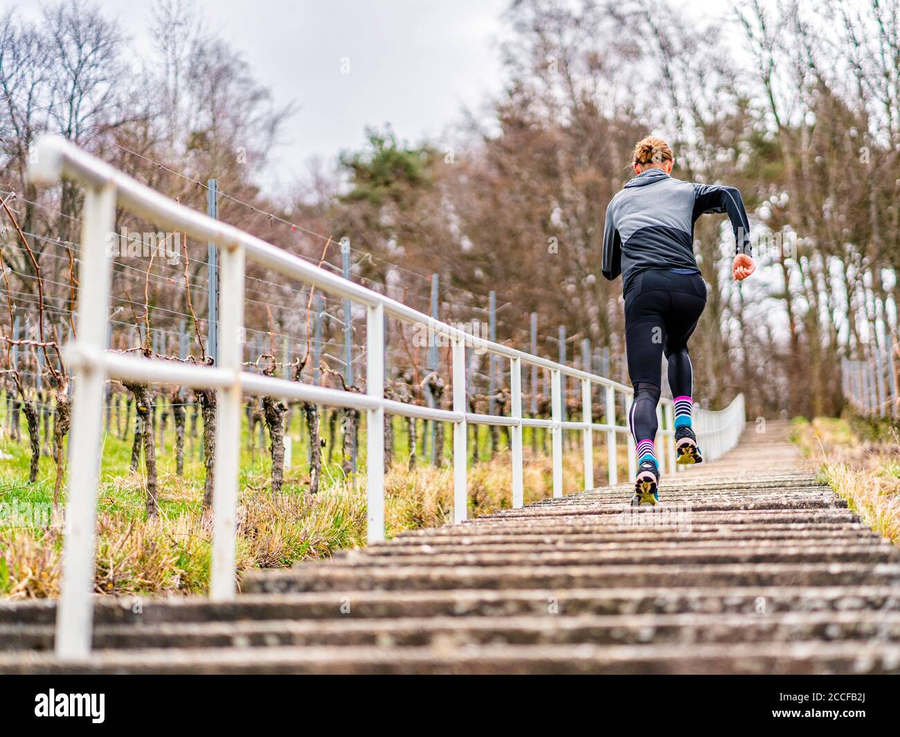 Uomo, 30 anni, jogging a Kappelberg, Remstal, Baden-Württemberg, Germania Foto Stock