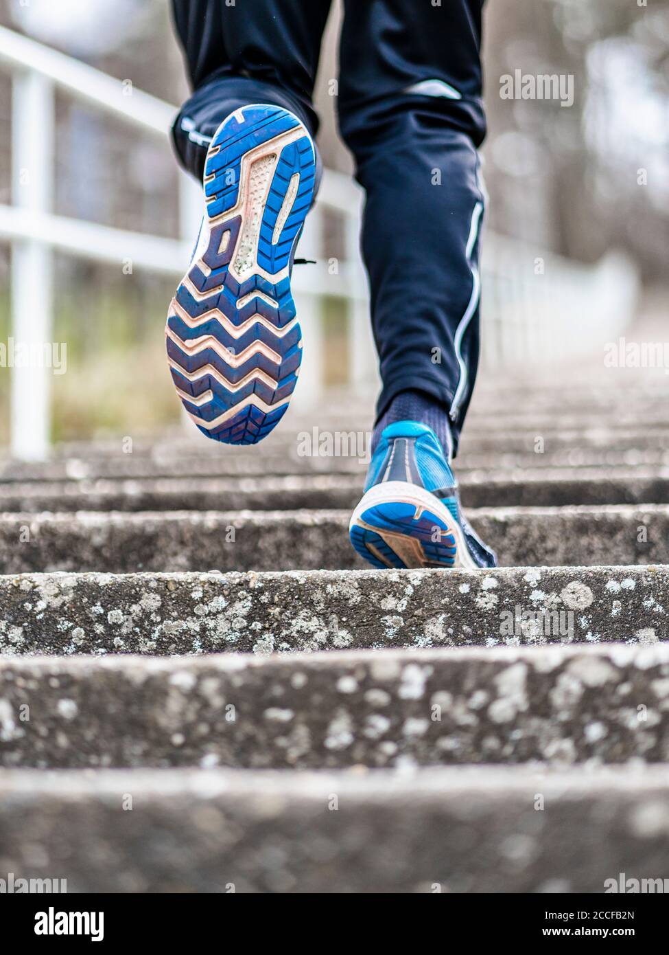 Uomo, 21 anni, jogging a Kappelberg, Remstal, Baden-Württemberg, Germania Foto Stock