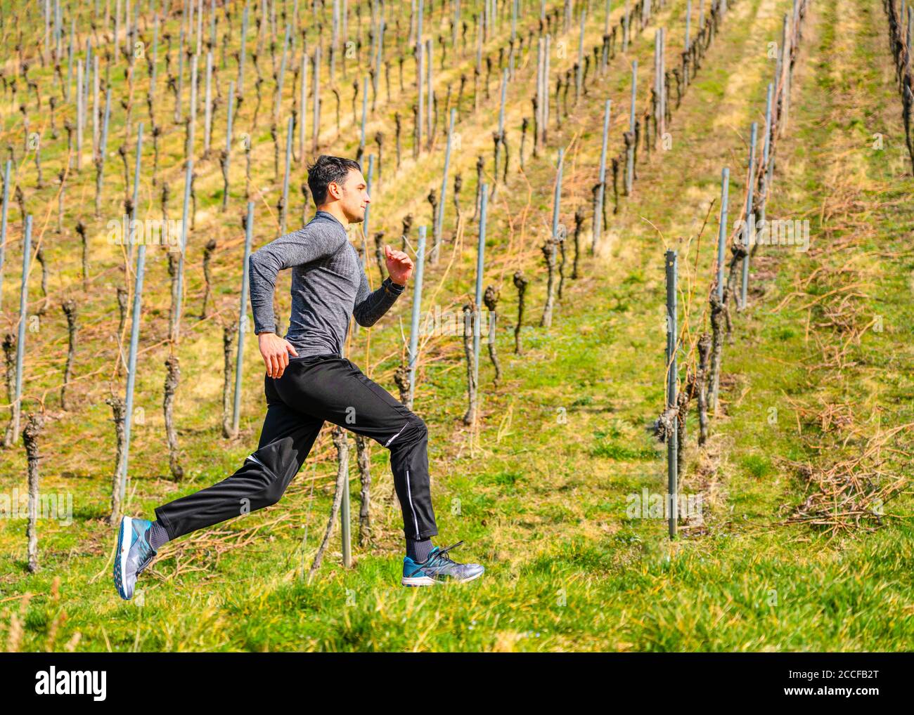 Uomo, 21 anni, jogging a Kappelberg, Remstal, Baden-Württemberg, Germania Foto Stock