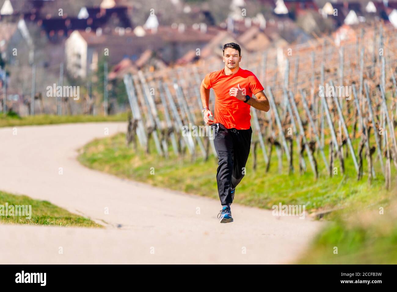 Uomo, 21 anni, jogging a Kappelberg, Remstal, Baden-Württemberg, Germania Foto Stock