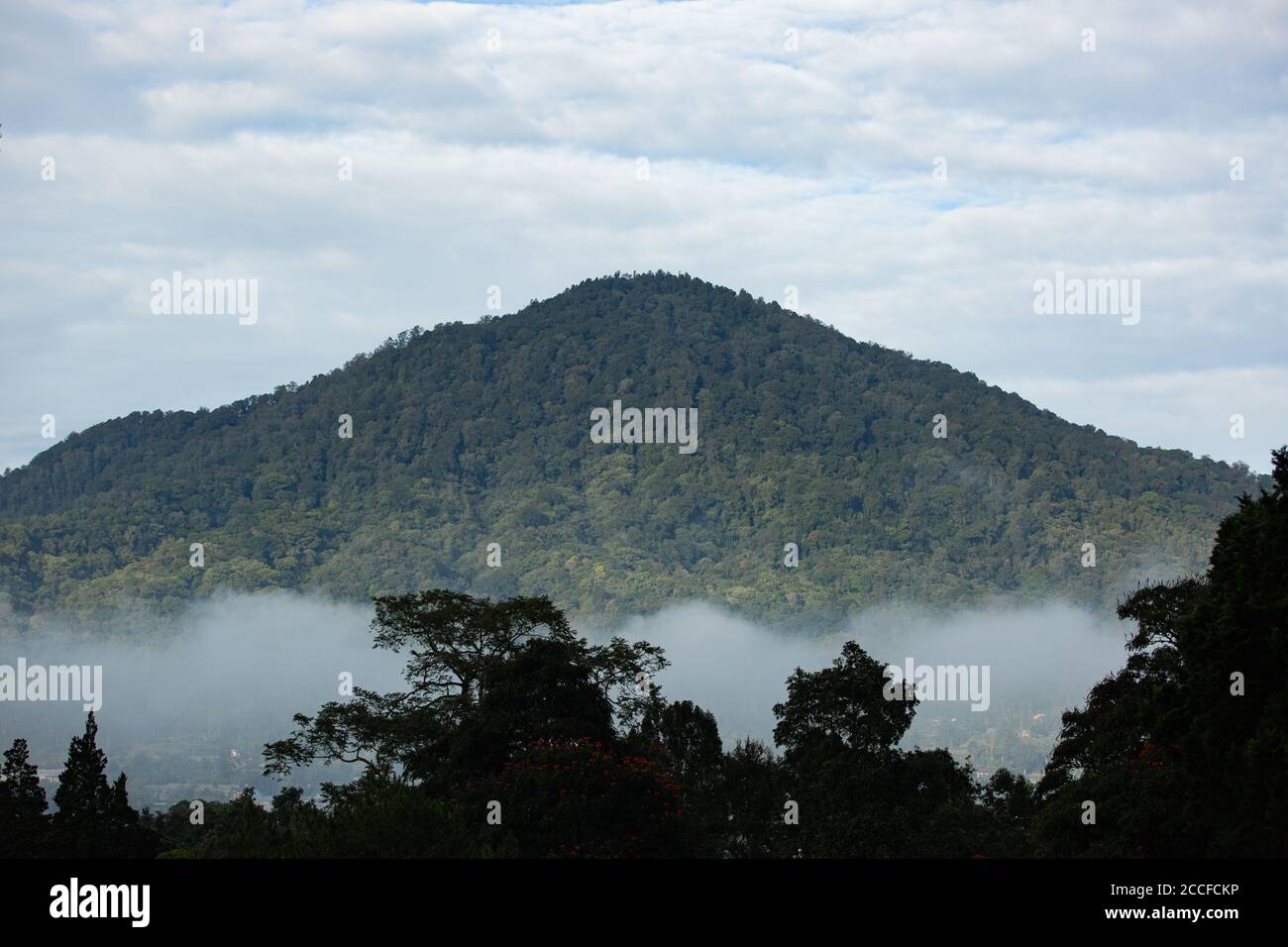 Vista verde della collina. Bali. Indonesia. Foto Stock