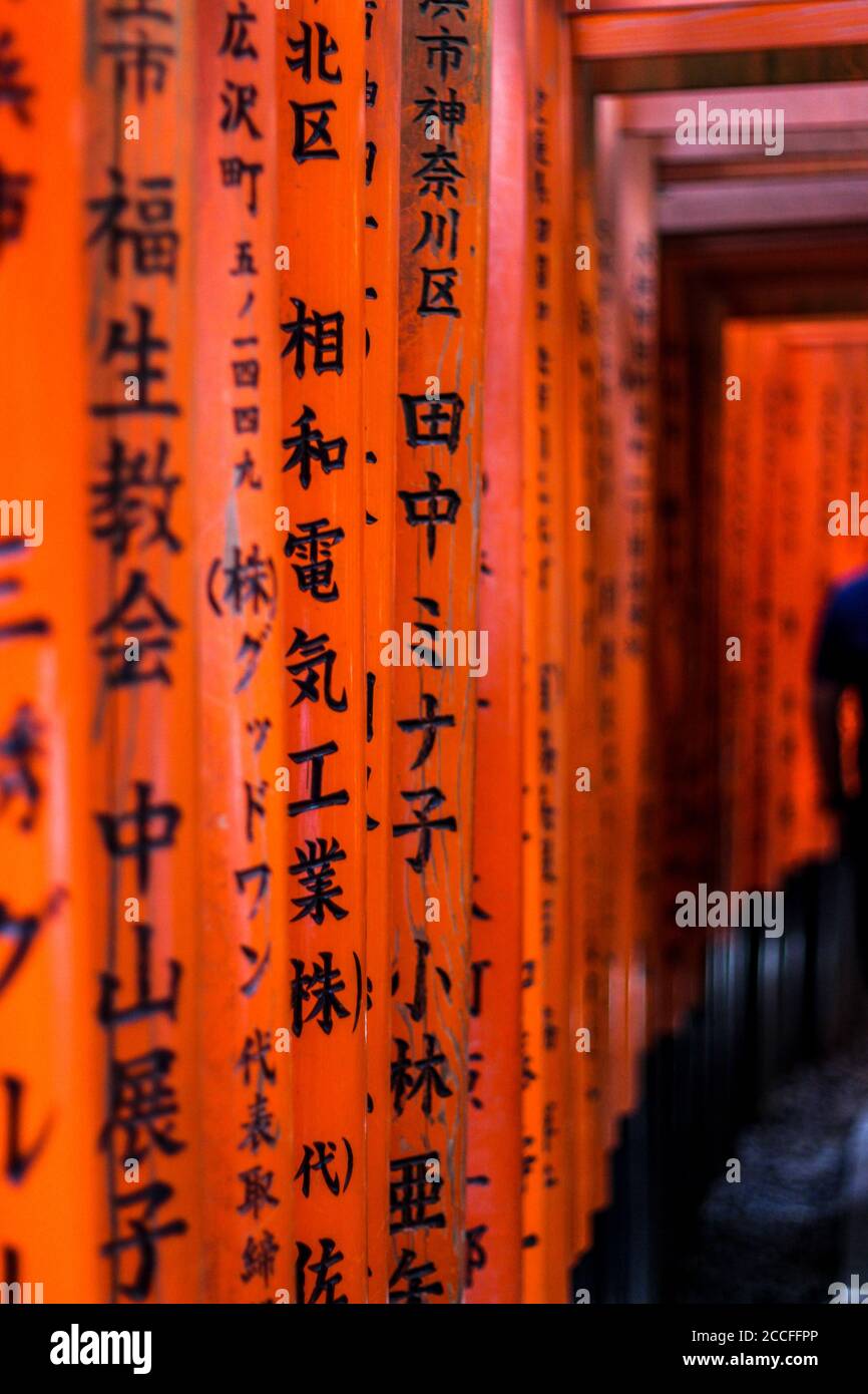 Kanji ha scritto sulle porte torii rosse di Fushimi Inari Foto Stock