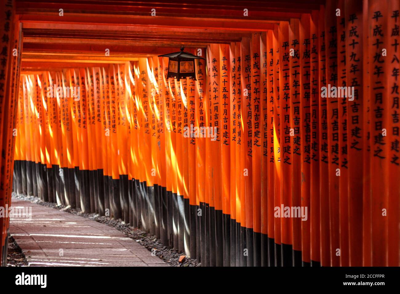 Luce solare che gioca attraverso le porte torii rosse a Fushimi Inari Foto Stock