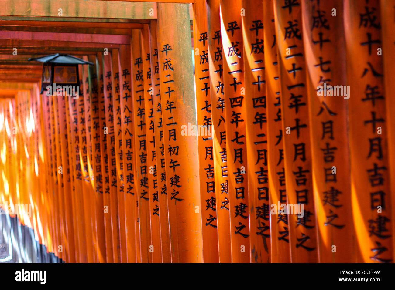 Personaggi Kanji scritti sulle porte torii rosse di Fushimi Inari Foto Stock